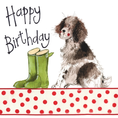 Springer Spaniel Dog Birthday Card