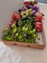 Letterbox Flowers