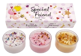 JUST BECAUSE THREE LITES – SPECIAL FRIEND