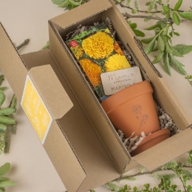 Personalised Birthday Flower Seed Box Set