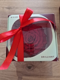 Red Preserved Rose